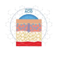 Acetyl Glucosamine